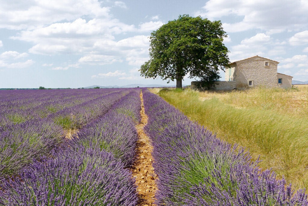 Le Luberon une autre de nos destinations à moto 