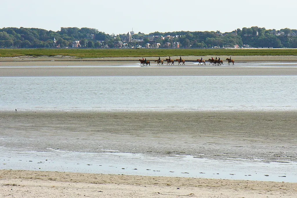 Chevaux en Baie de Somme - voyage à moto